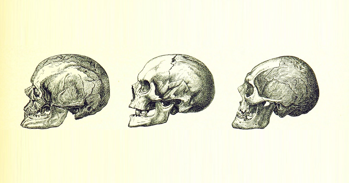 Мозгоэффекты